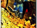 Dubnik Opal Mine